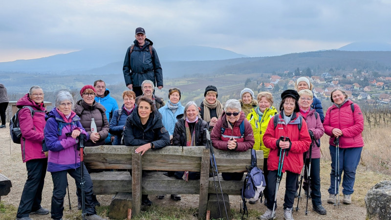 Le vignoble de Dorlisheim
